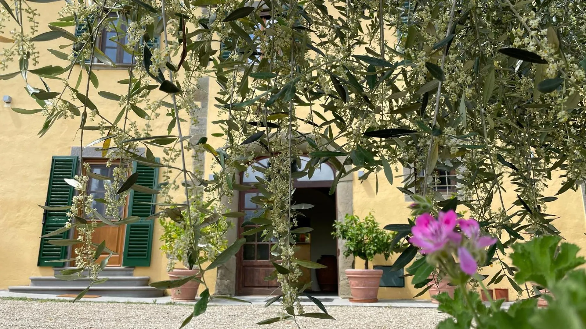 מלון רג'לו Villa Rigacci
